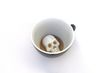 Creature Cups Skull 15Oz