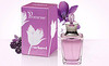 Promesse Cacharel edp