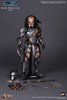 Alien vs Predator. Scar Predator Sixth Scale Figure by Hot Toys