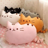 Pusheen the cat