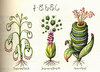 Codex Seraphinianus