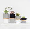 Concrete and Gold Plant Pots