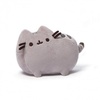 Pusheen