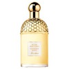 GUERLAIN Aqua Allegoria Mandarine-Basilic