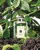 Jo Malone Blueberry & Bay