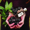 Jo Malone Blackberry & Bay