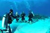 Получить сертификат Advanced Open Water Diver