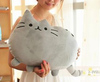 Pusheen The Toy