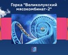 Прокатиться на Горке "Великолукский мясокомбинат-2"