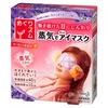 Japanese Warm Steam Eye Mask (pack of 14) any flavour