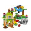 Конструктор LEGO DUPLO 10804 Вокруг света: Азия