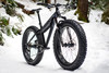 fatbike