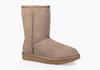 UGG CLASSIC SHORT II