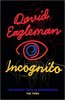 Incognito: The Secret Lives of The Brain –   David Eagleman