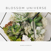 Сертификат на создание флорариума с суккулентами в Blossom Universe