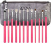 ZOEVA PINK ELEMENTS COMPLETE EYE SET