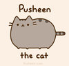 Фетиш: Pusheen The Cat