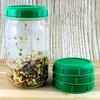 sprouting jar