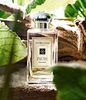 духи Jo Malone Wood sage & See salt