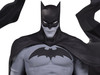 Batman Black and White Statue (Becky Cloonan)