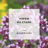 Нервы из стали