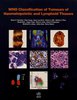 WHO Classification of Tumours of Haematopoietic and Lymphoid Tissue 2017. Revised 4th edition.