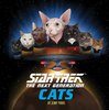 Star Trek: The Next Generation Cats by Jenny Parks