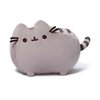 pusheen the cat