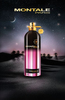 Starry Nights Montale