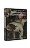 Апокалипсис Средневековья. Иероним Босх, Иван Грозный, Конец Света  Косякова Валерия