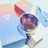 Lightstick SEVENTEEN