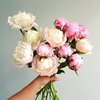 Peonies