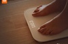 Xiaomi Mi Body Composition Scale