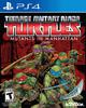 "TMNT: Mutants in Manhatten"