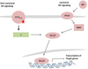 Solid Lipid Nanoparticle Synthesis