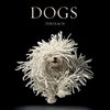 Dogs. Gods Tim Flach