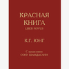 Карл Густав Юнг, «Красная книга» (Liber Novus)