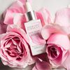 Physicians Formula Rose All Day Oil-free Serum Сыворотка-праймер для лица