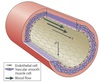 synthetic muscle fiber