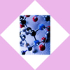 11-Phosphonoundecyl acrylate