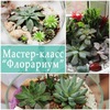 Выездные мастер классы