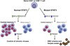 custom peptide manufacturing