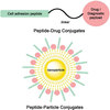 Amyloid β-peptide (1-40) rat