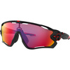 Oakley Jawbreaker