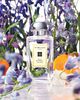 Jo Malone Wild Bluebell