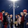 На концерт Stray Kids