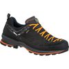 Кросівки Salewa MS MTN Trainer 2 GTX