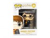 Funko Pop Harry Potter with Hedwig