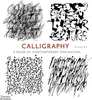 Calligraphy: A Book of Contemporary Inspiration