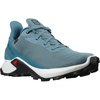 Salomon Trail Running Shoes